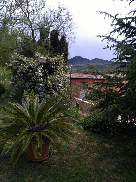 Agriturismo Usurtala Orani Exterior photo
