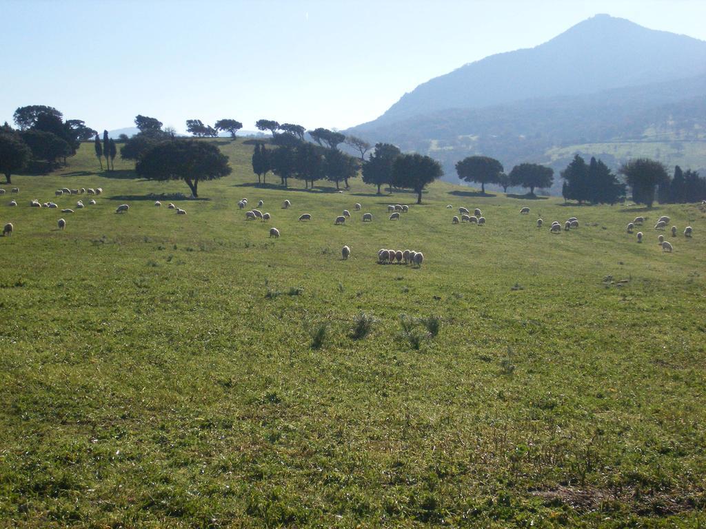 Agriturismo Usurtala Orani Exterior photo